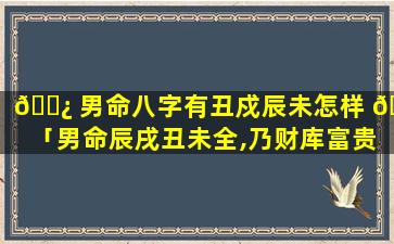 🌿 男命八字有丑戍辰未怎样 🌸 「男命辰戌丑未全,乃财库富贵之尊」